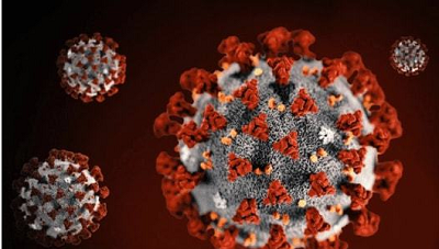 Covid-19 Antigen: Amerikan CDC, önümüzdeki dört haftada 44000'den fazla kişinin COVID-19'u öleceğini tahmin ediyor