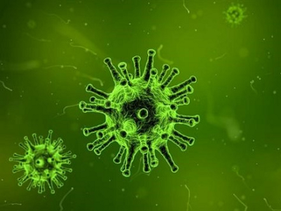 Hızlı antijen ITU APA: Virüs özellikleri